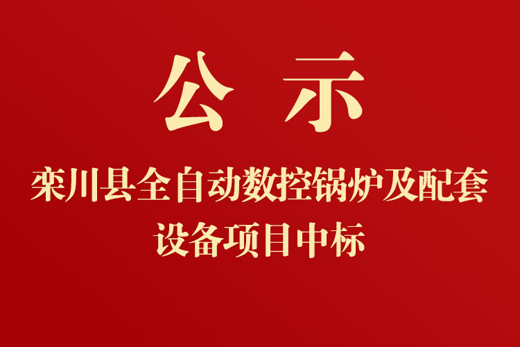 欒川一高新校區(qū)全自動數(shù)控鍋爐及配套設備